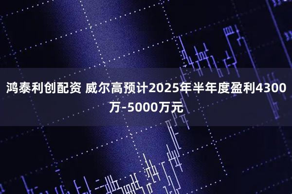 鸿泰利创配资 威尔高预计2025年半年度盈利4300万-5000万元