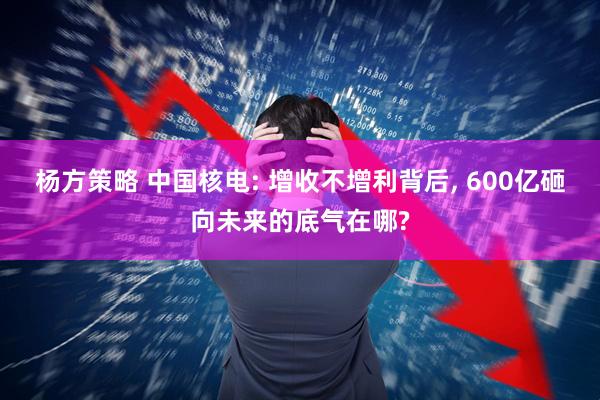 杨方策略 中国核电: 增收不增利背后, 600亿砸向未来的底气在哪?