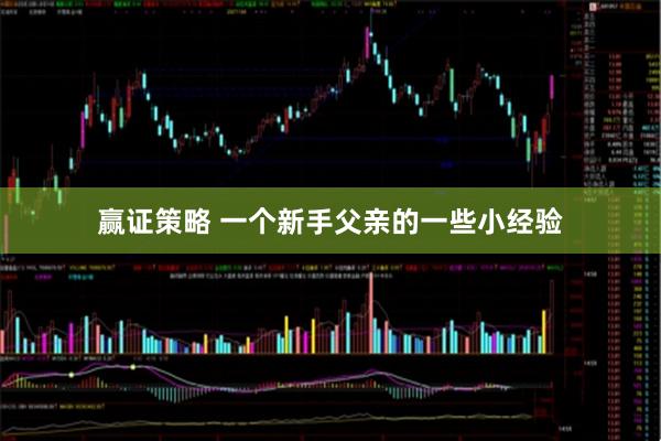 赢证策略 一个新手父亲的一些小经验